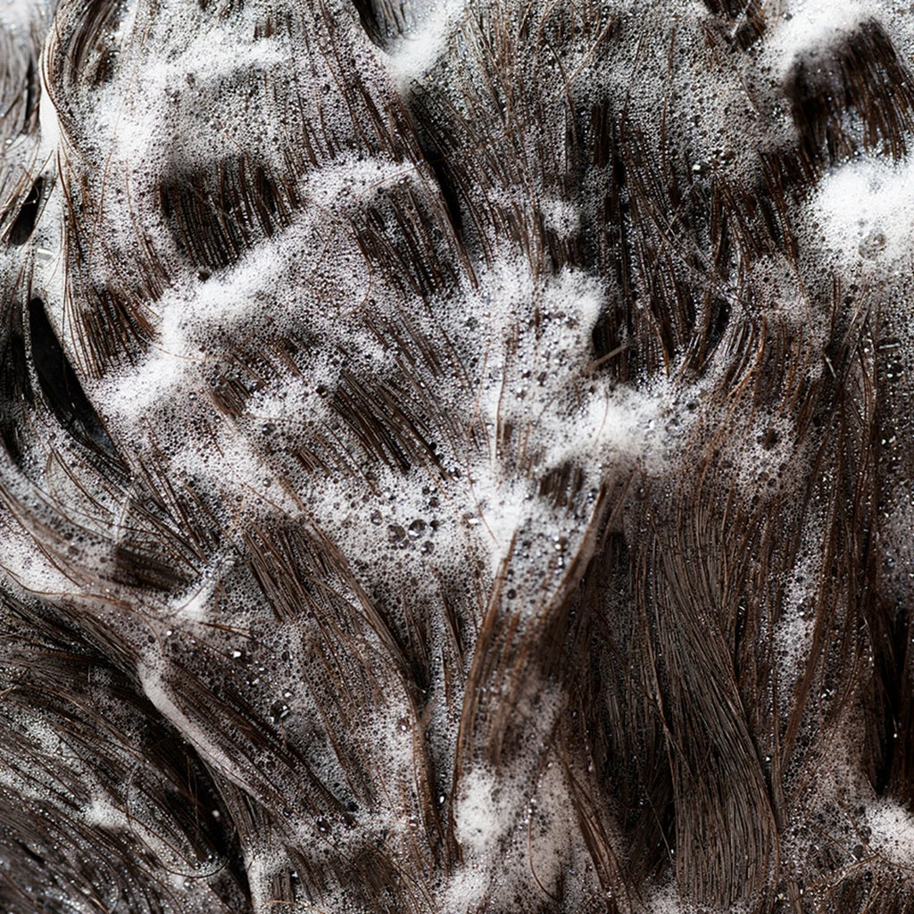 Shampoing SIGNATURE